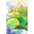 Табак для кальяна Adalya Coldest Green (Адалия Колдест Грин) 50г купить в Москве фото - 2